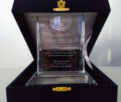 20180513 TODPlaket